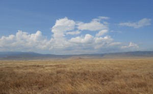 Ngorogorno krater Tanzania